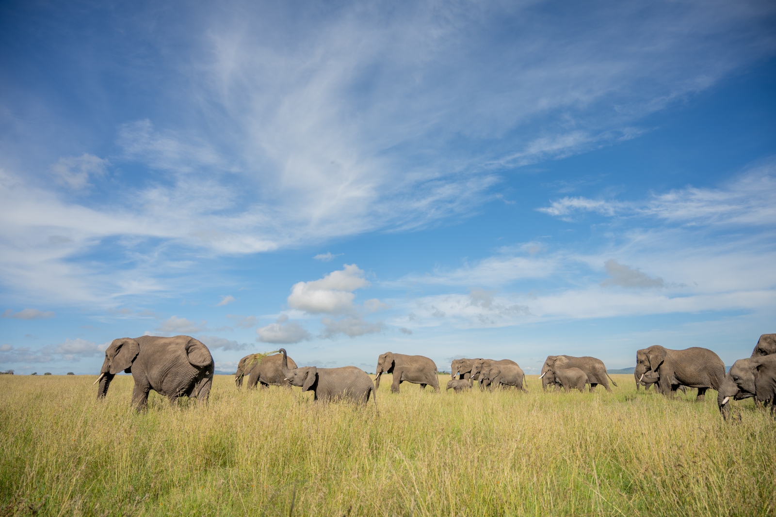 TARANGIRE NATIONAL PARK