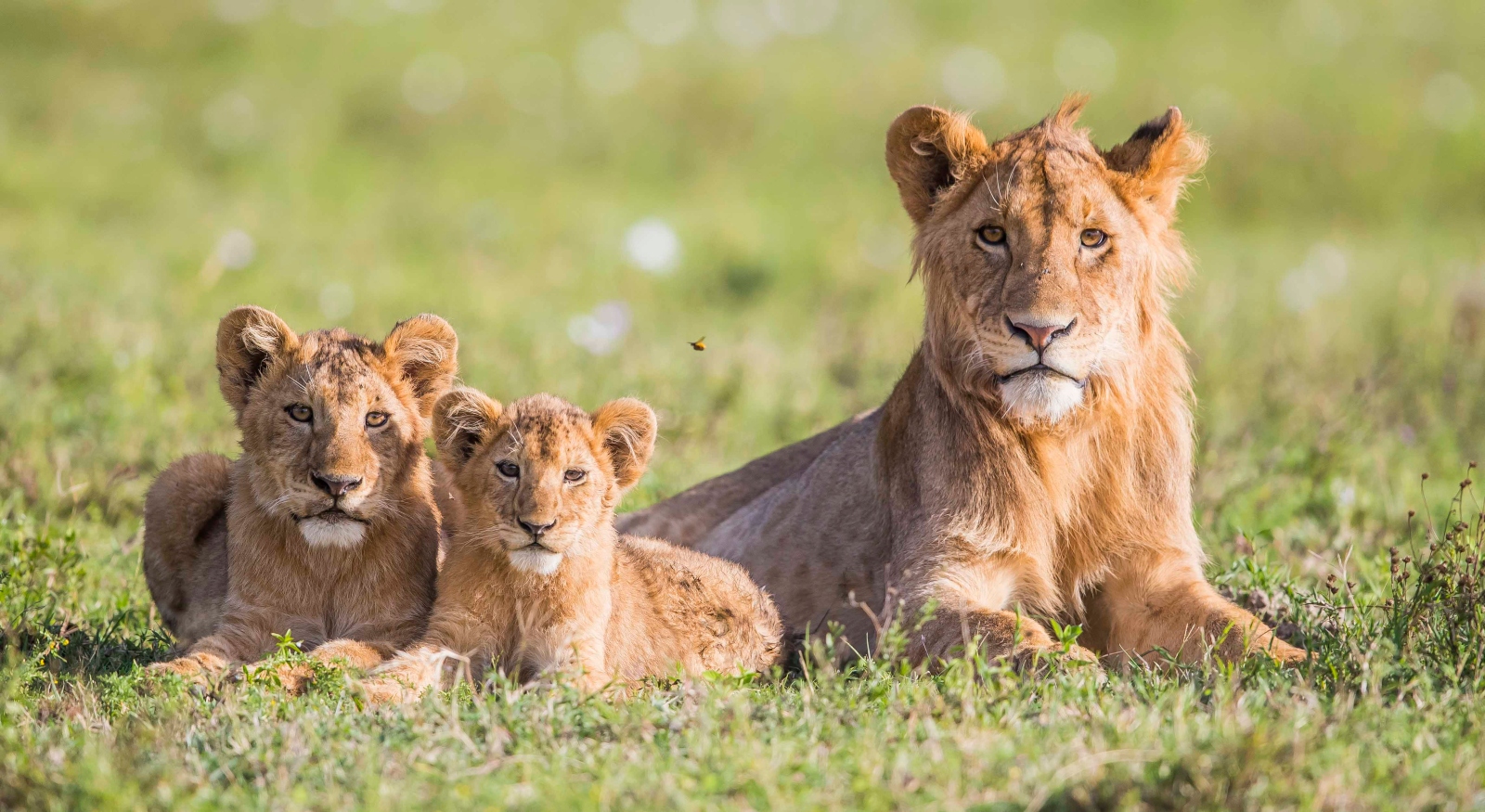 ARUSHA NATIONAL PARK